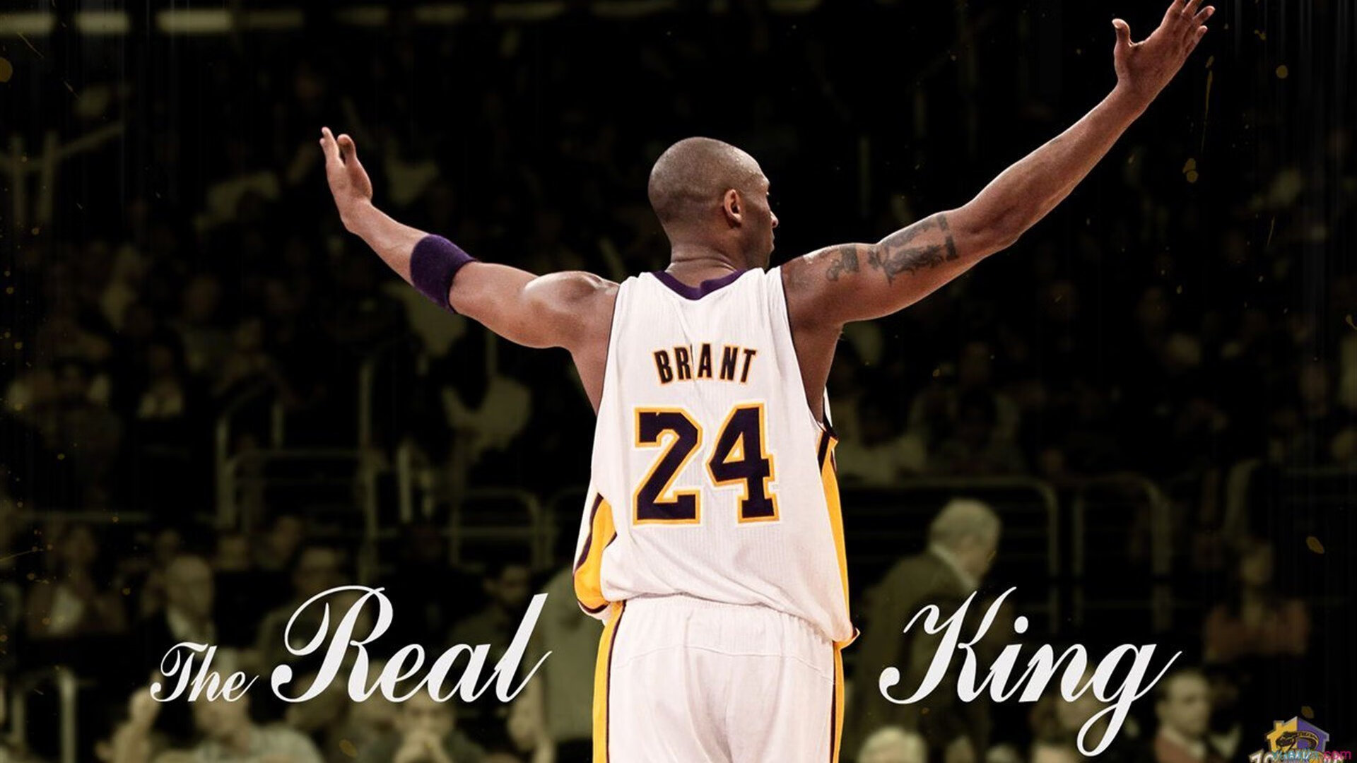 开云·体育官方网站入口-北京队战术调整,有望在季后赛再突破!,北京队能进季后赛吗