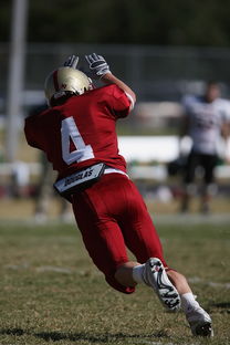 开云体育中国官网-国王后场火力猛但防守端问题依旧，国王防守怎么样